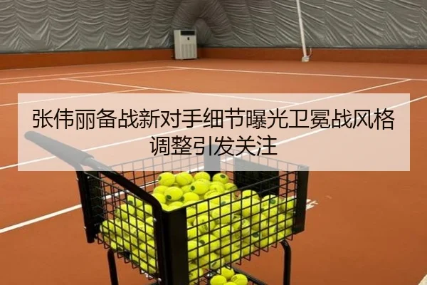 张伟丽备战新对手细节曝光卫冕战风格调整引发关注
